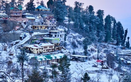 Explore the Most Beautiful Places to Visit in Shimla This Year