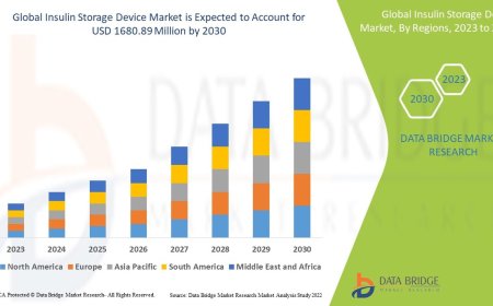 Rising Diabetes Prevalence Drives Growth in Global Insulin Storage Device Market