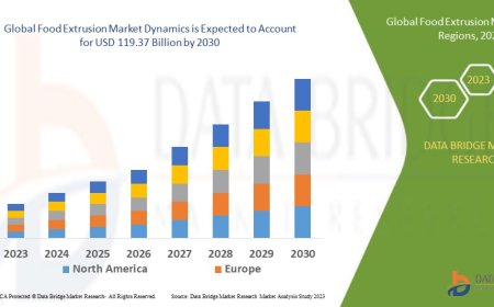 Demand for Processed Foods Drives Expansion of Food Extrusion Market