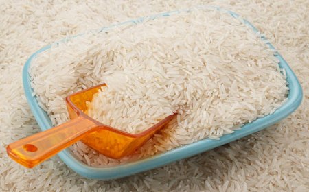 Trusted Basmati Rice Suppliers for Premium Quality Grains