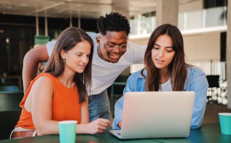 Professional Python Assignment Help: Your Path to Academic Excellence