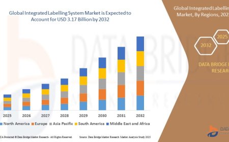 Integrated Labelling System Market: Size, Share, and Future Growth 2025 –2032