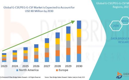 Global G-CSF/PEG-G-CSF Market Growth Drivers: Share, Value, Size, and Insights