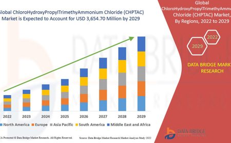ChloroHydroxyPropylTrimethyAmmonium Chloride (CHPTAC) Market Size, Current Status, and Outlook 2029