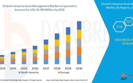 Global Enterprise Asset Management Market Insights: Growth, Share, Value, Size, and Trends