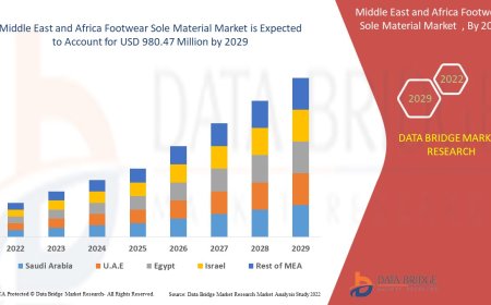Middle East and Africa Footwear sole materials Market: Size, Share, and Future Growth 2024 –2031