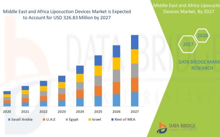 Middle East and Africa Liposuction Devices Market: Size, Share, and Future Growth 2024 –2031