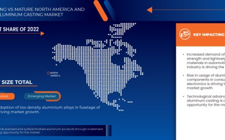 North America and MENA Aluminum Casting Market: Size, Share, and Future Growth 2024 –2031