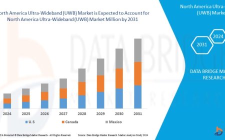 North America Ultra-Wideband (UWB) Market: Size, Share, and Future Growth 2024 –2031