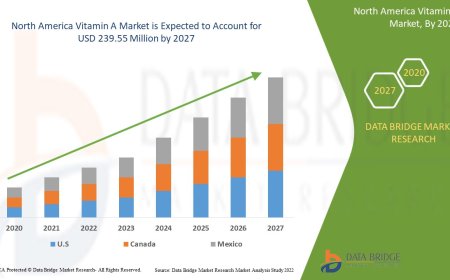 North America Vitamin A Market: Size, Share, and Future Growth 2024 –2031