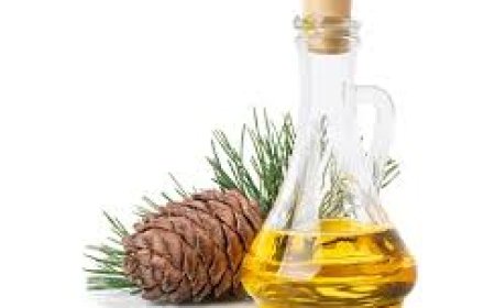 Leading Pine Oil Manufacturers in India for Pure Extracts