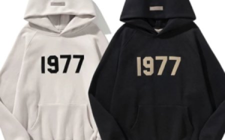 Elevate Your Look with the Essentials Hoodie