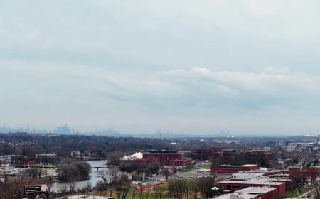 Why Dental Workshops Are Essential for Modern Dentists