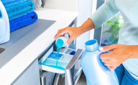 Cost Analysis for Setting up a Liquid Detergent Manufacturing Plant | Report by IMARC Group