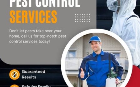 Don't Let Pests Take Over: How Melbourne Homes and Businesses Can Stay Protected