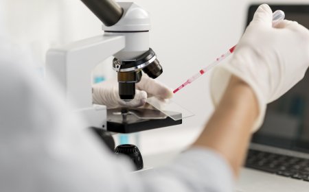 Why DNA Testing Services Are Essential for Family, Health, and Legal Matters