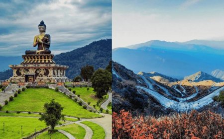 Beyond Tea Gardens: Discovering Darjeeling