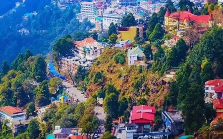 Nature’s Paradise: Journey Through Nainital, Ranikhet and Kausani