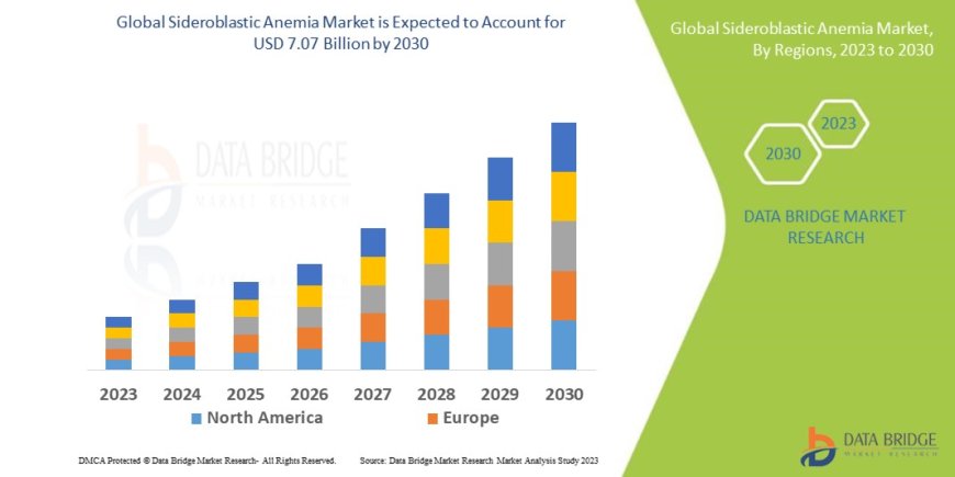 R&D Advances Propel Growth in Sideroblastic Anemia Treatment Market