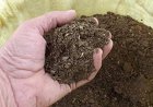 Raw Material Requirements for Setting Up a Cow Dung Based Biofertilizer Manufacturing Plant