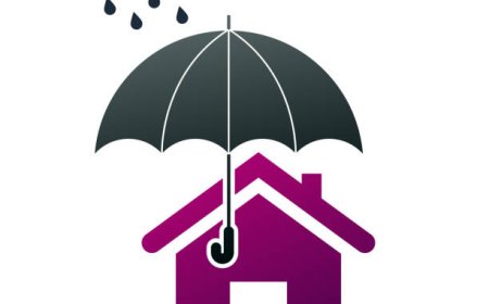 Roofers in Bellingham WA