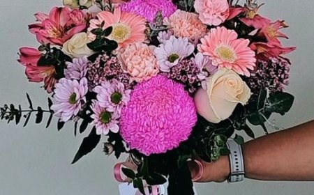 Blooms That Make Moments Beautiful: Discover the Magic of Blossom By Daisy