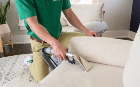 Finding the Best Upholstery Cleaning Service New York Has to Offer