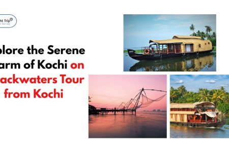 Explore the Serene Charm of Kochi on a Backwaters Tour from Kochi