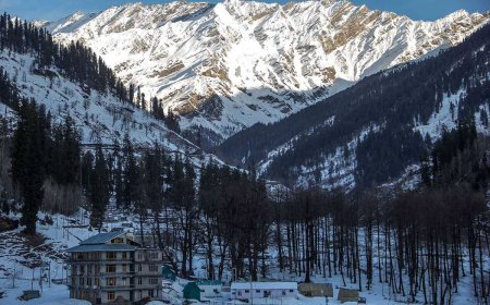 Why Manali Should Be Your Next Mountain Getaway