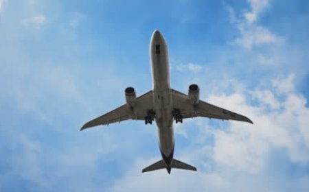 turkish airlines miami office​