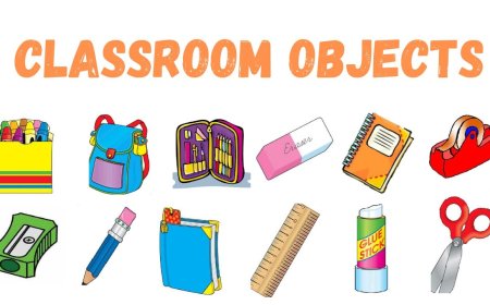 Discovering Objects That Start With the Letter B