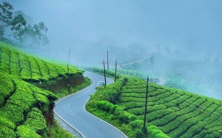 Weekend Bliss: How to Make the Most of Your Munnar Tour Package