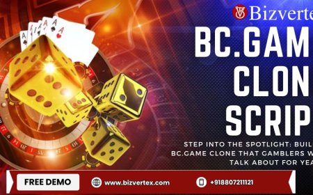 Step Into the Spotlight: Build a BC.Game Clone That Gamblers Will Talk About for Years