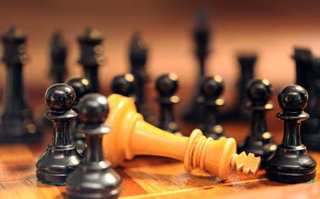 UAE Public Transport Feasibility: Bus and Rail Systems