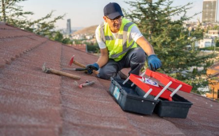 Roof Maintenance and Repairs: The Backbone of a Secure Home