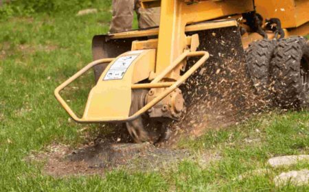 Stump Grinding: The Smart Way to Finish Your Tree Removal Job
