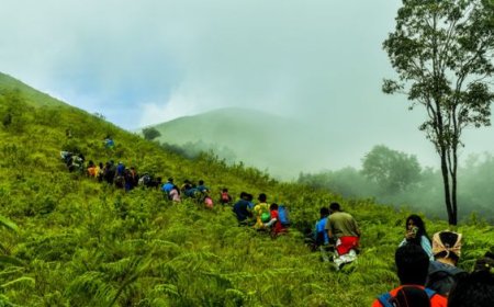 Top Treks in Uttarakhand