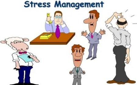 Effective Stress Management Dallas Area Programs