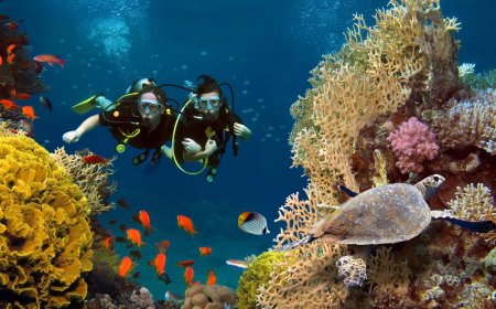 Discovering Scuba Diving in Dubai: An Underwater Wonderland
