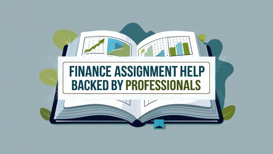 Finance Assignment Help Backed By Professionals