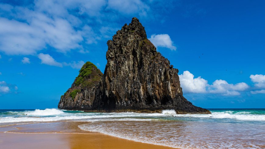 Your Guide to the Turkish Airlines New York City Office