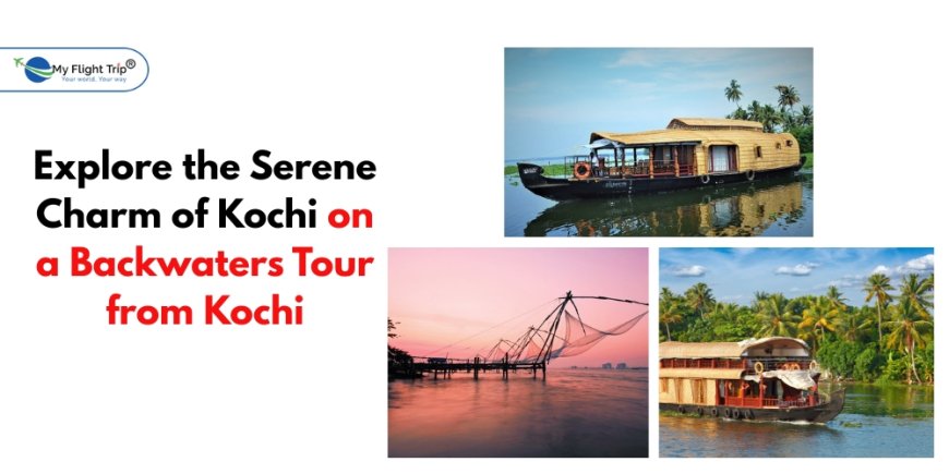 Explore the Serene Charm of Kochi on a Backwaters Tour from Kochi
