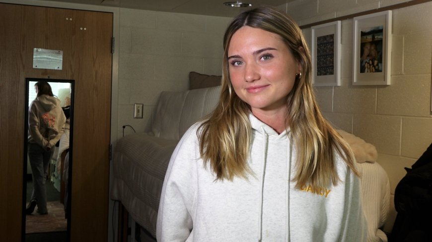 From Boards to Birds: Stüssy & Dandy Hoodie Collab