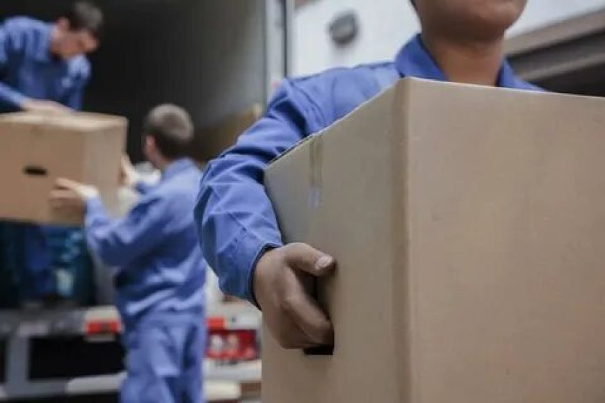 Moving Company Mississauga Checklist Before You Book