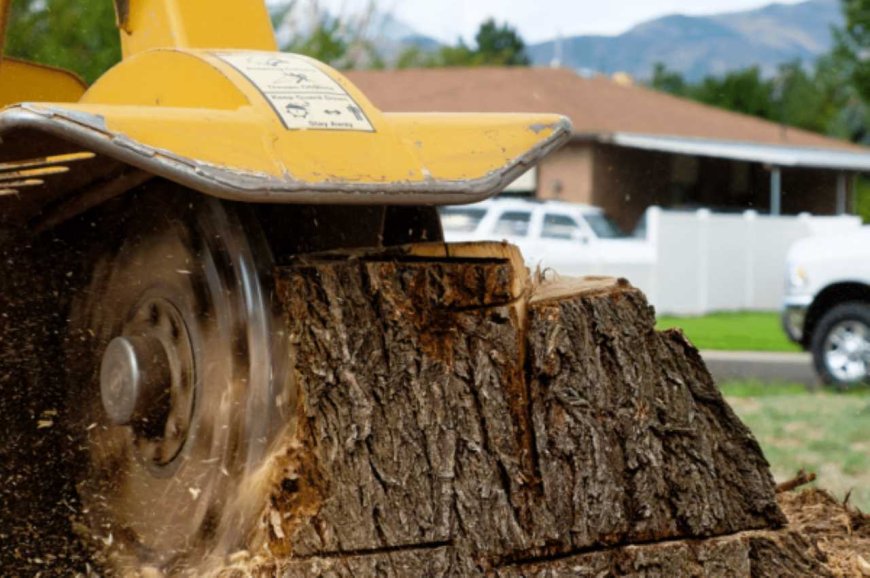 The Ultimate Guide to Stump Grinding: What It Is, Why It Matters, and How It's Done